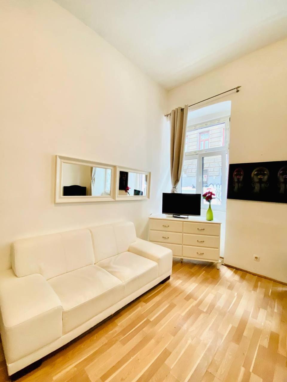 Cozy Studio Lg Apartament *